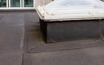 disadvantages of Grudie flat roofs