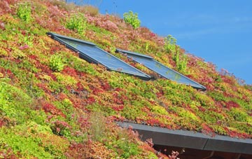 Grudie living roof systems